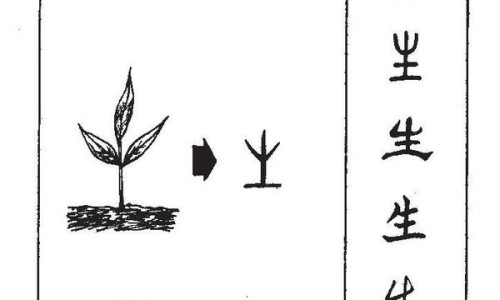 进口油桃图片大全图片-进口油桃营养价值网 - 网站提供进口油桃是哪个国家的小常识、进口油桃产地