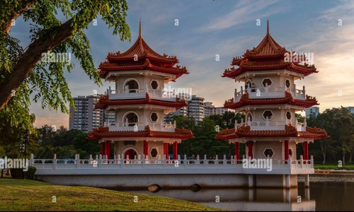 油桃优良品种介绍-进口油桃营养价值网 - 网站提供进口油桃是哪个国家的小常识、进口油桃产地